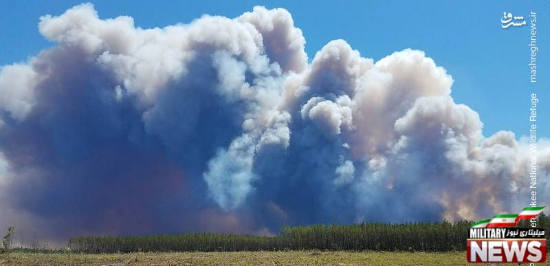 آتش‌سوزی جنگل‌ها در گرجستان