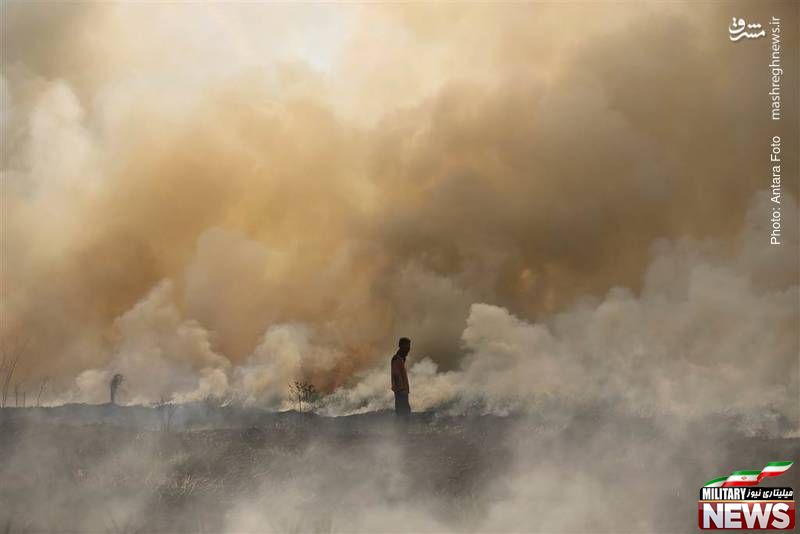 آتش‌سوزی جنگل در سوماترای اندونزی
