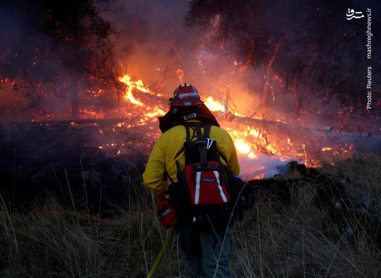 تداوم آتش‌سوزی در جنگل‌های کالیفرنیا