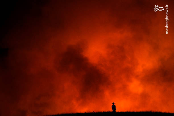 گسترش آتش سوزی مهیب در کالیفرنیا