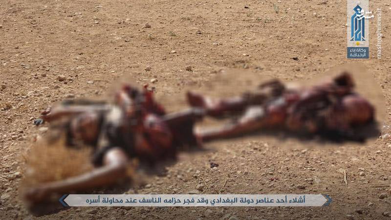 2086726 - عکس/ تلفات سنگین داعش در درگیری با النصره